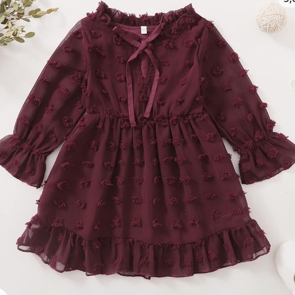 Burgundy dress for fall, babydoll, size 4Y, never worn with tags - Picture 3 of 5